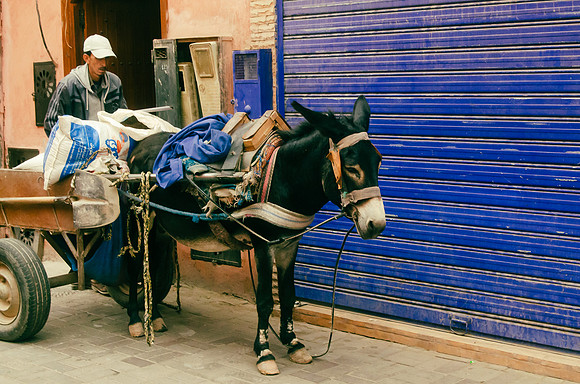 Travel Photography Morocco by Belinda Keller Photography Wilmington NC