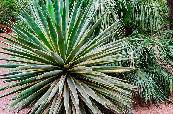 Travel Photography Morocco by Belinda Keller Photography Wilmington NC