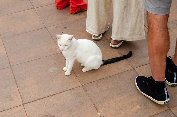 Travel Photography Morocco by Belinda Keller Photography Wilmington NC