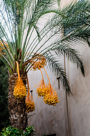 Morocco 2022 Nikon 108