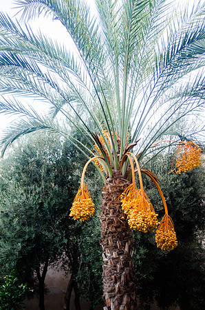 Travel Photography Morocco by Belinda Keller Photography Wilmington NC