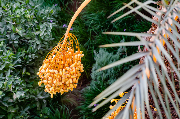 Travel Photography Morocco by Belinda Keller Photography Wilmington NC