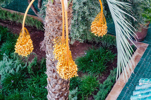 Travel Photography Morocco by Belinda Keller Photography Wilmington NC