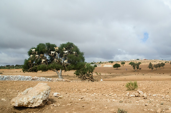 Travel Photography Morocco by Belinda Keller Photography Wilmington NC