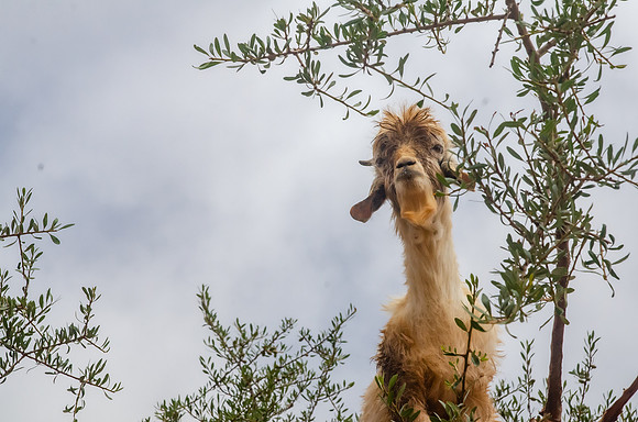 Travel Photography Morocco by Belinda Keller Photography Wilmington NC