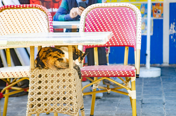 Travel Photography Morocco by Belinda Keller Photography Wilmington NC