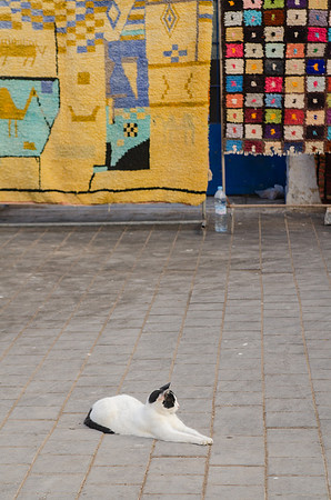 Travel Photography Morocco by Belinda Keller Photography Wilmington NC
