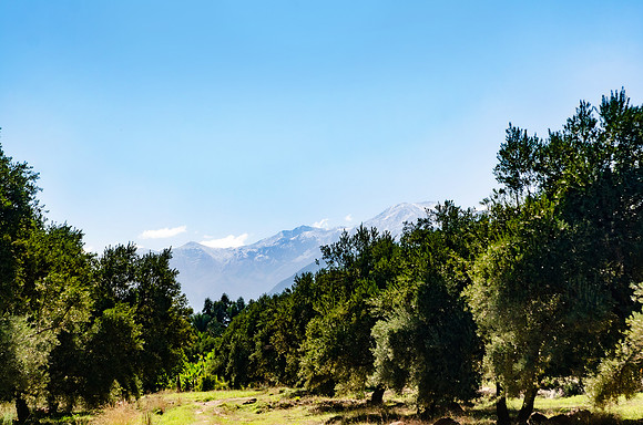 Travel Photography Morocco by Belinda Keller Photography Wilmington NC