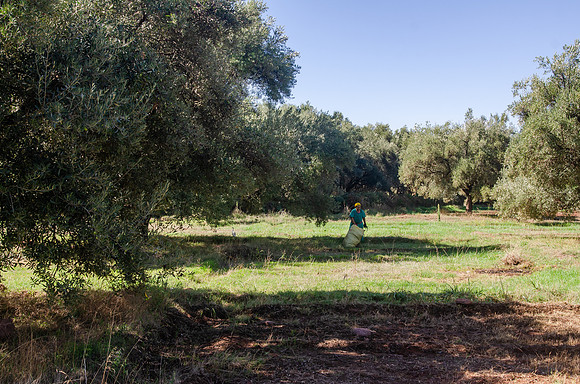 Travel Photography Morocco by Belinda Keller Photography Wilmington NC