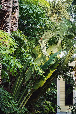 Travel Photography Key West by Belinda Keller Wilmington, NC