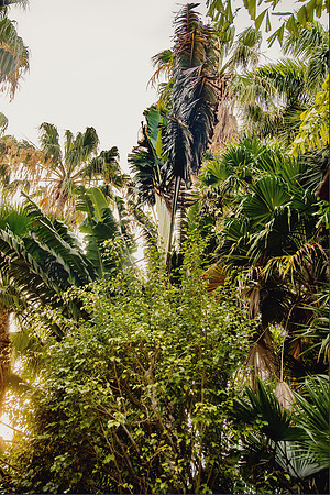 Travel Photography Key West by Belinda Keller Wilmington, NC