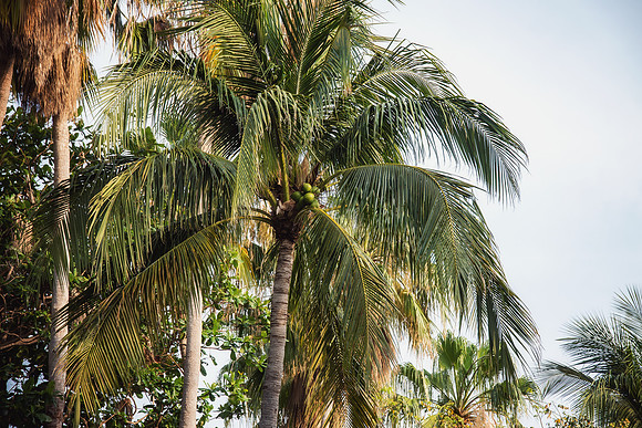 Travel Photography Key West by Belinda Keller Wilmington, NC