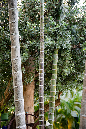 Travel Photography Key West by Belinda Keller Wilmington, NC