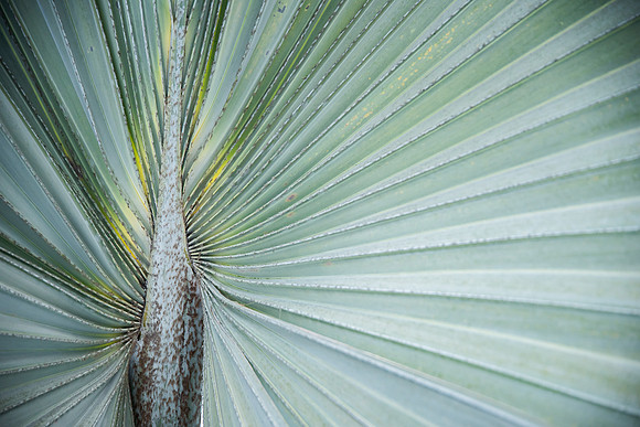 Travel Photography Key West by Belinda Keller Wilmington, NC