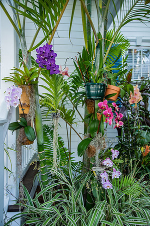 Travel Photography Key West by Belinda Keller Wilmington, NC