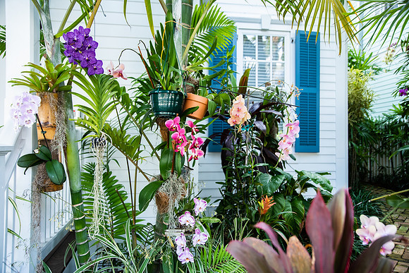 Travel Photography Key West by Belinda Keller Wilmington, NC