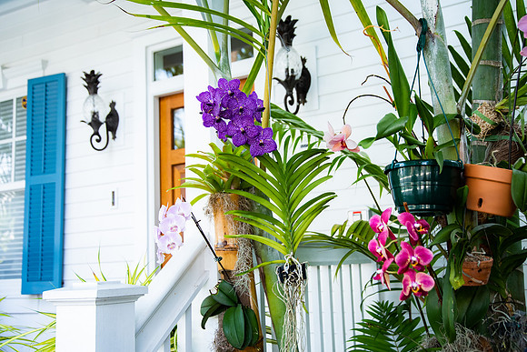 Travel Photography Key West by Belinda Keller Wilmington, NC