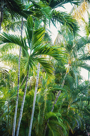 Travel Photography Key West by Belinda Keller Wilmington, NC