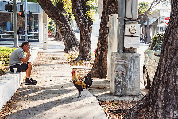 Travel Photography Key West by Belinda Keller Wilmington, NC