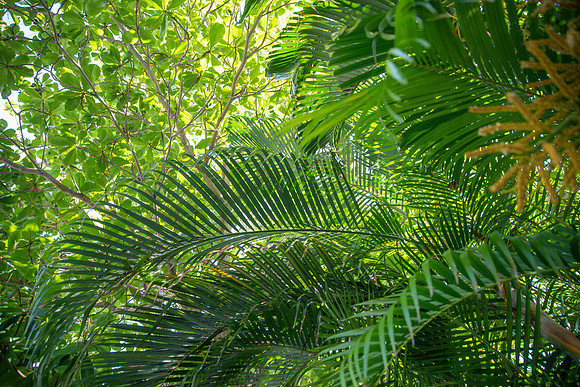 Travel Photography Key West by Belinda Keller Wilmington, NC