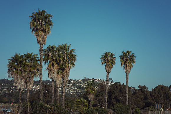Travel Photography San Diego by Belinda Keller Wilmington, NC