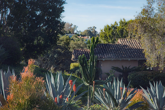 Travel Photography San Diego by Belinda Keller Wilmington, NC