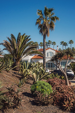 Travel Photography San Diego by Belinda Keller Wilmington, NC