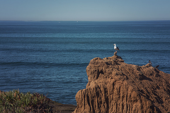 Travel Photography San Diego by Belinda Keller Wilmington, NC