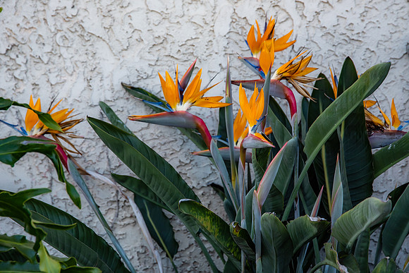Travel Photography San Diego by Belinda Keller Wilmington, NC