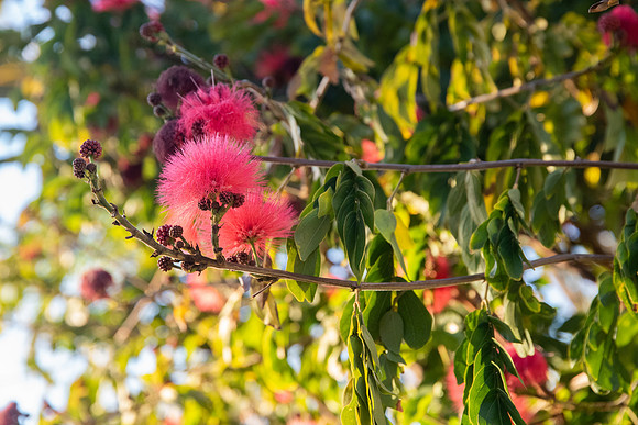Travel Photography San Diego by Belinda Keller Wilmington, NC