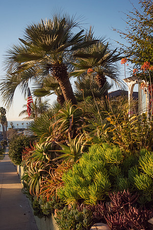 Travel Photography San Diego by Belinda Keller Wilmington, NC