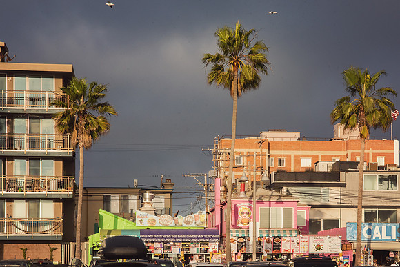 Travel Photography Santa Monica Venice Beach by Belinda Keller Wilmington, NC