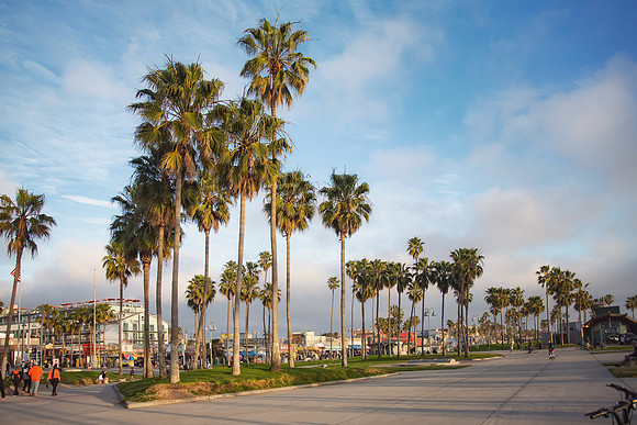 Travel Photography Santa Monica Venice Beach by Belinda Keller Wilmington, NC