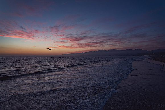 Travel Photography Santa Monica Venice Beach by Belinda Keller Wilmington, NC