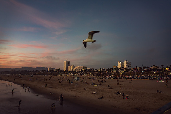 Travel Photography Santa Monica Venice Beach by Belinda Keller Wilmington, NC