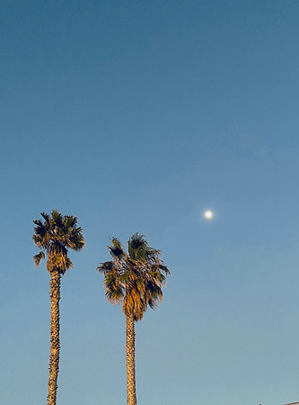 Travel Photography San Diego by Belinda Keller Wilmington, NC