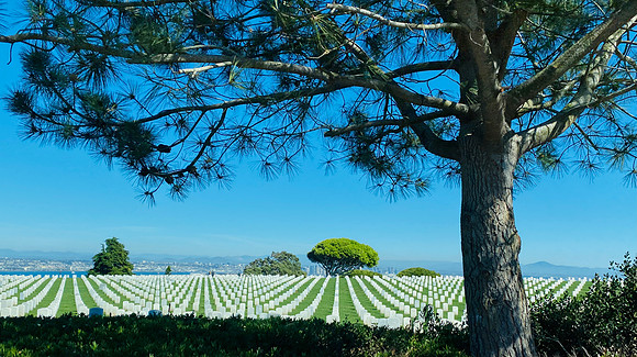 Travel Photography San Diego by Belinda Keller Wilmington, NC