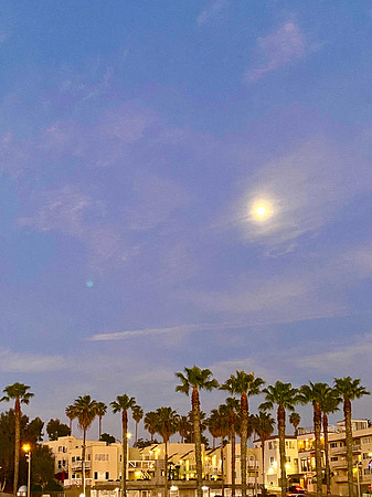 Travel Photography Santa Monica Venice Beach by Belinda Keller Wilmington, NC