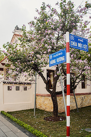 Vietnam 2023 D750 020