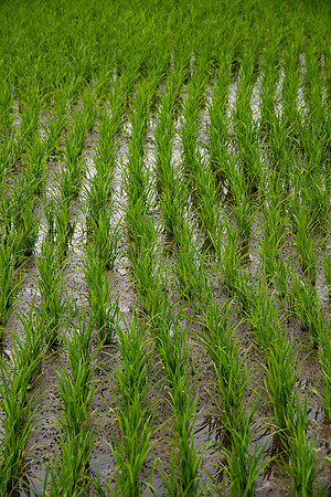 Vietnam 2023 D750 205