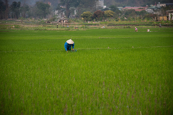 Vietnam 2023 D750 208
