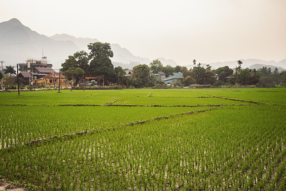 Vietnam 2023 D750 207