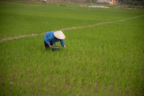 Vietnam 2023 D750 210