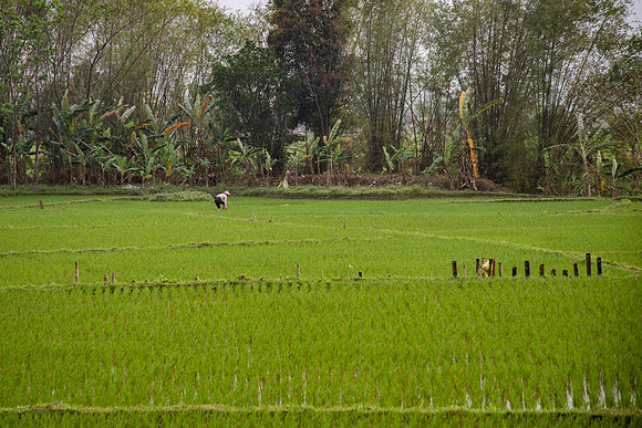 Vietnam 2023 D750 221