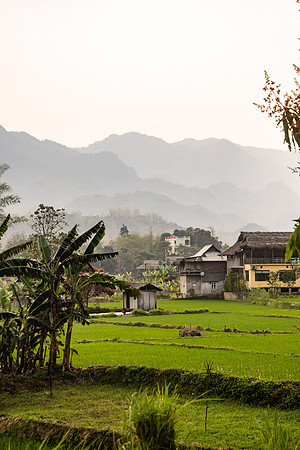 Vietnam 2023 D750 222