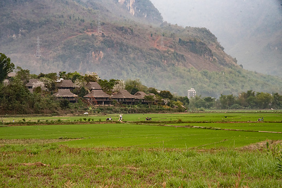 Vietnam 2023 D750 233