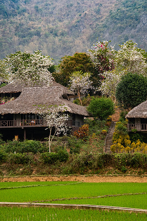 Vietnam 2023 D750 238