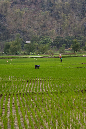 Vietnam 2023 D750 240