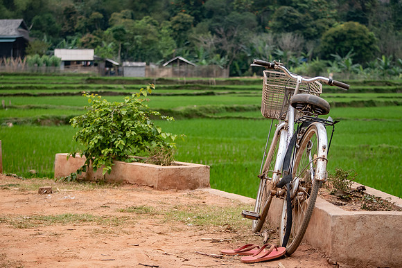 Vietnam 2023 D750 243