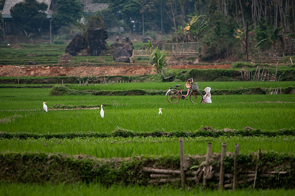 Vietnam 2023 D750 244
